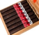 Buy Powstanie Broadleaf Corona Gorda Online: