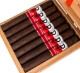 Buy Powstanie Habano Corona Gorda Online: