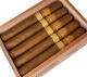 Buy El Rey Del Mundo Shade Toro Online: