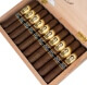 Buy Bolivar Gran Republica Robusto by Forged Cigar Company  Online: