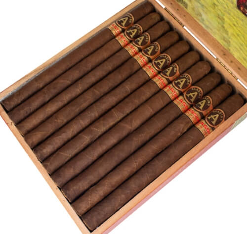 Buy Aladino Classic Elegante Online at Small Batch Cigar