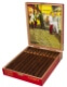 Buy Aladino Classic Elegante Online at Small Batch Cigar