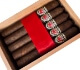 Buy Viaje Exclusivo LEADED Toro Online: