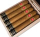 Buy HVC Hot Cake Golden Line Connecticut Gran Cañon Online: 
