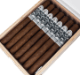 Buy Black Label Trading Company Santa Muerte Petite Lancero Online: 