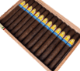 Buy Viaje Satori Nirvana 2023 Online: