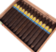 Buy Viaje Satori Zen 2023 Online: