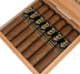 Buy Powstanie Connecticut Robusto Online:
