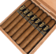 Buy Powstanie Connecticut Toro Online: