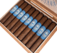 Buy Illusione Original Documents Habano Robusto Online: