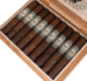 Buy Illusione Original Documents Ultra Corona Minor Online: 