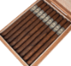 Buy Illusione Original Documents Ultra Lancero Online: 