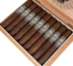 Buy Illusione Original Documents Ultra Robusto Online: 