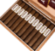 Buy Dalay Nicaragua Robusto online: