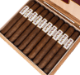 Buy Dalay Nicaragua Toro online: