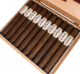 Buy Dalay Nicaragua Gran Toro online: