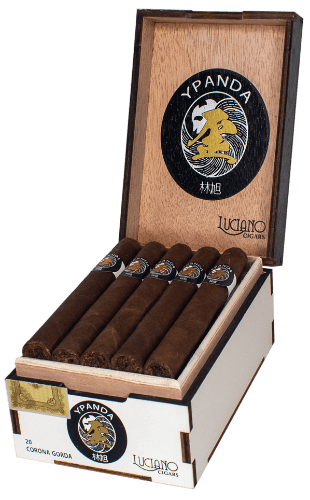 Buy Luciano Y Panda Corona Gorda Online: