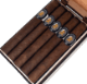 Buy Luciano Y Panda Corona Gorda Online: