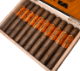 Buy Camacho Broadleaf Gordo Online: 
