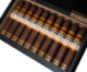Buy Plasencia Cosecha 149 Santa Fe Cigars Online: