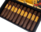 Buy Lost&Found Paradise Lost Short Robusto Online: 
