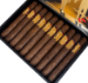 Buy Lost&Found Paradise Lost Toro Online: 