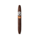 Buy AVO Seasons Limited Edition Series 2023 Fall Online: