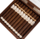 Buy Plasencia Reserva Original Corona Cigars Online: