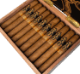 Buy Room101 Johnny Tobacconaut Toro Online: