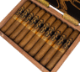 Buy Room101 Johnny Tobacconaut Robusto Online: