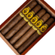 Buy Felipe Gregorio Refusion F7 Online:
