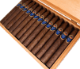 Buy Felipe Gregorio Classic Maduro Belicoso : 