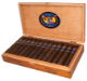 Buy Felipe Gregorio Classic Maduro Robusto: 