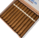 Buy Bellatto Edition Connecticut Lonsdale Online:
