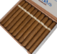 Buy Bellatto Edition Connecticut Toro Online: