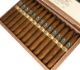 Buy Clasico Original Torpedo by Joya de Nicaragua Online: