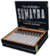 Buy Aladino Limited Edition Sumatra Toro (6 x 52) Online: 