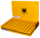 Buy Partagas Toro Tubos Online:
