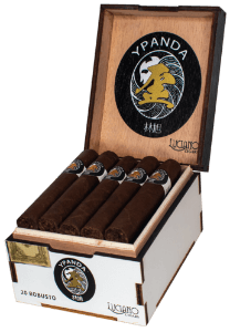 Buy Luciano Y Panda Robusto Online: