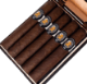 Buy Luciano Y Panda Robusto Online:
