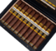 Buy Plasencia Cosecha 151 La Musica Cigars Online: