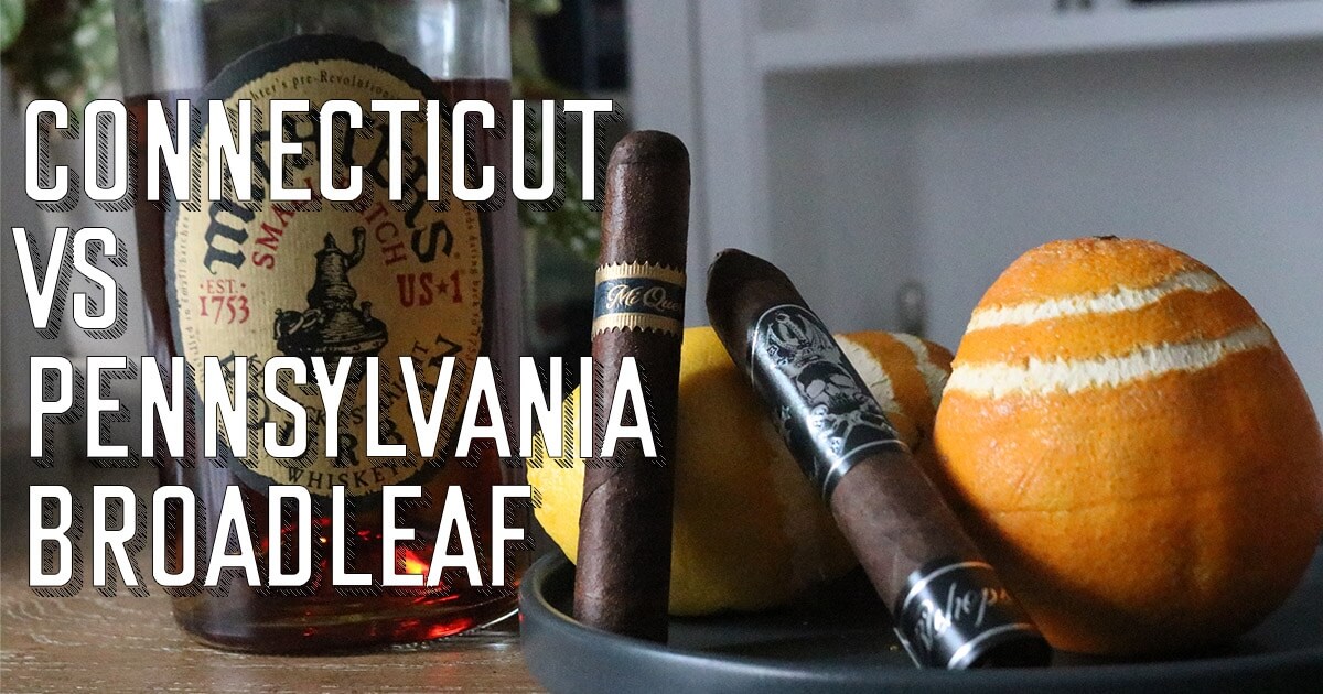 The Differences Between Connecticut and Pennsylvania Broadleaf