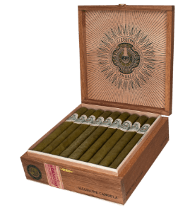 Buy Illusione Original Documents Candela Churchill Online: