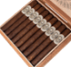 Buy Illusione Original Documents Corojo Corona Online: