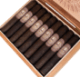 Buy Illusione Original Documents Maduro Robusto Online: