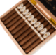 Buy Carlos & Maria Amorío Corona Gorda by Freud online: