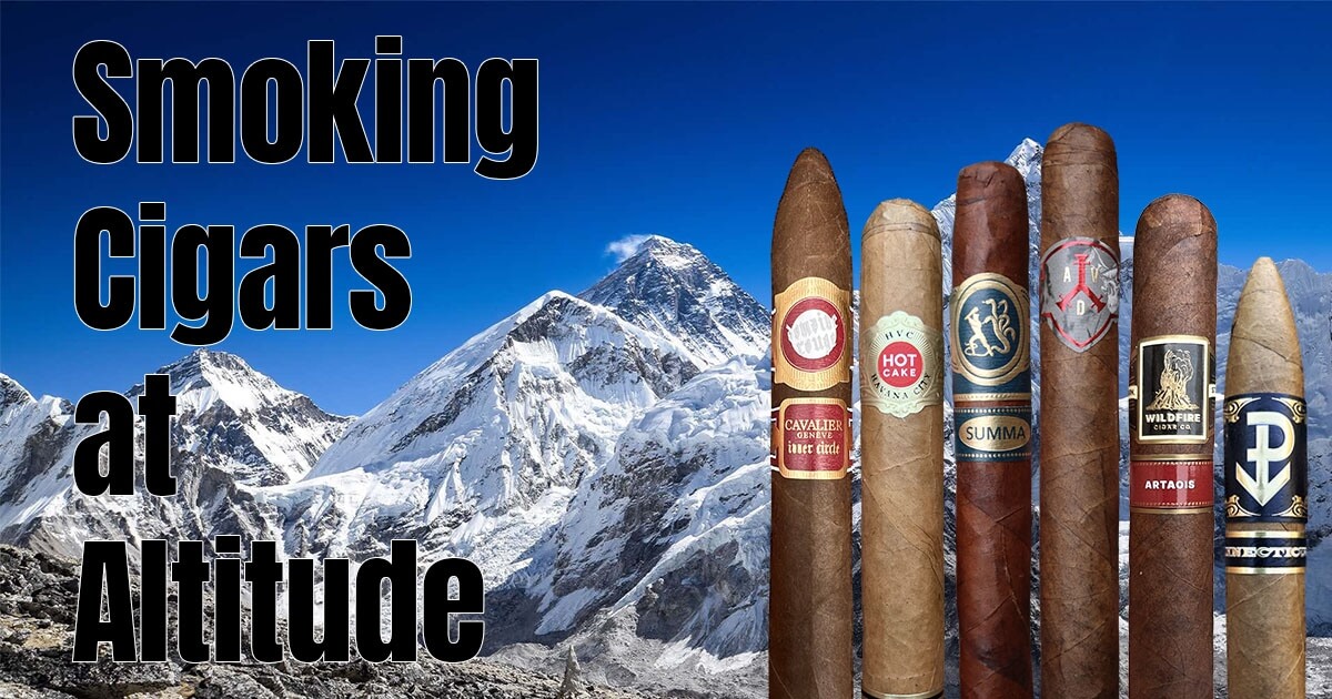 How to taste more from cigars in 2024