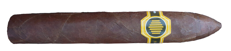 Warped Black Honey Review