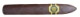 Warped Black Honey Review