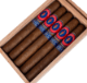 Buy Ceniza Fina Corojo Corona Online at Small Batch Cigar: